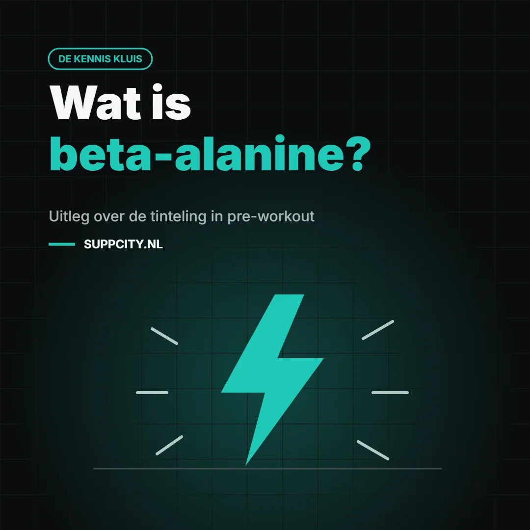 Wat is beta-alanine? Uitleg over de tinteling in pre-workout